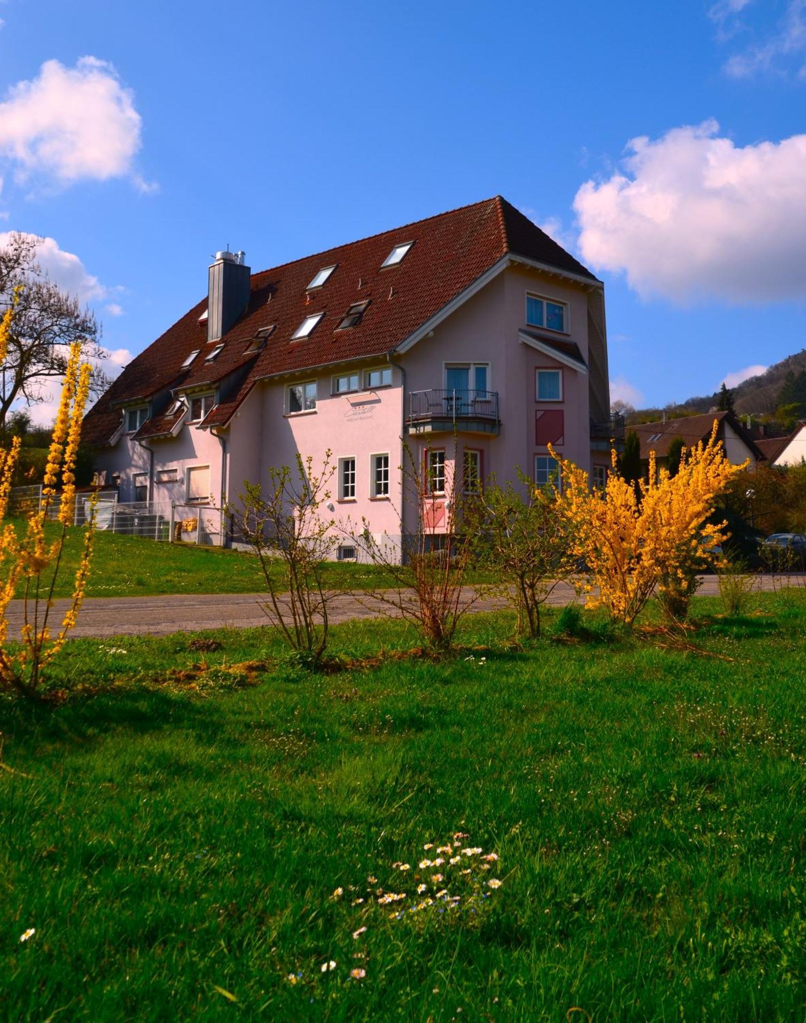 Castell Hotel & Restaurant Leinsweiler Exteriér fotografie