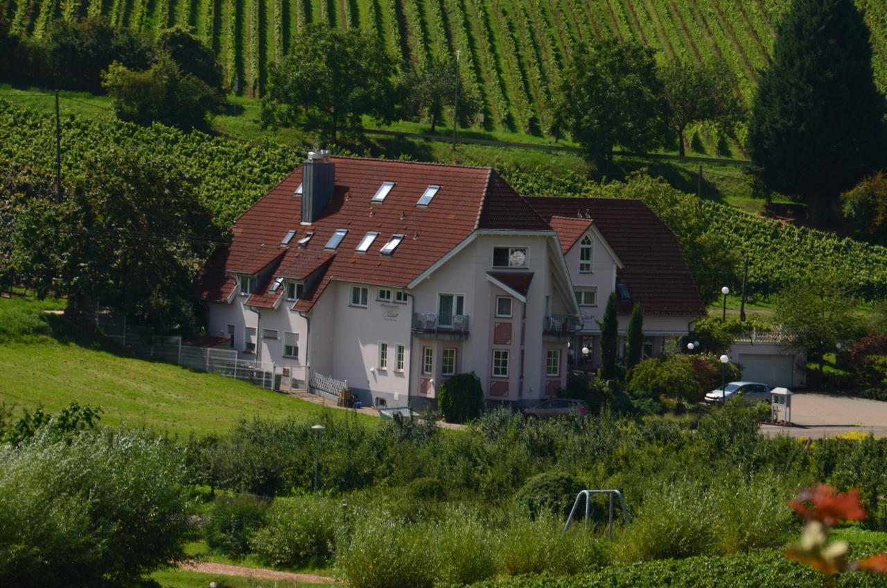 Castell Hotel & Restaurant Leinsweiler Exteriér fotografie